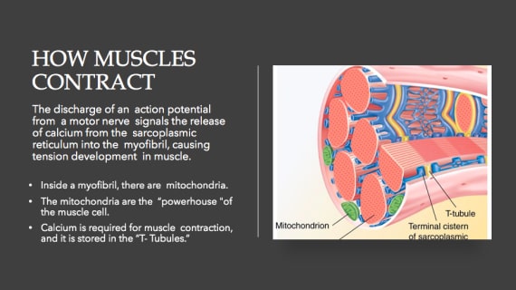 healthcare powerpoint slide makeover