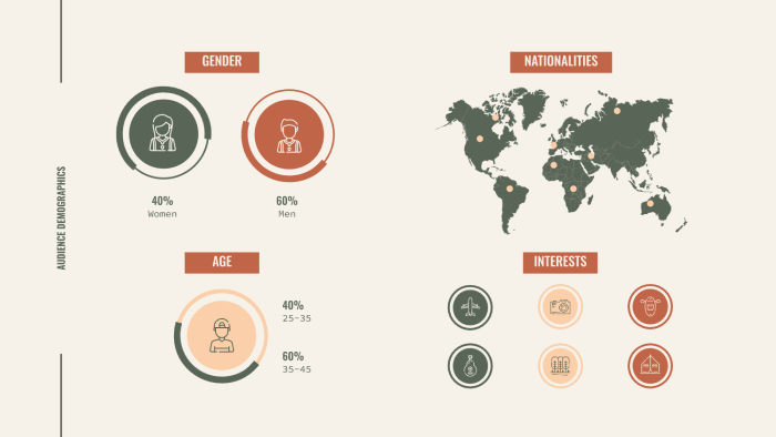 visualisation in presentation