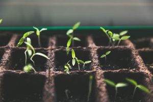 Seed Funding: Full Guide