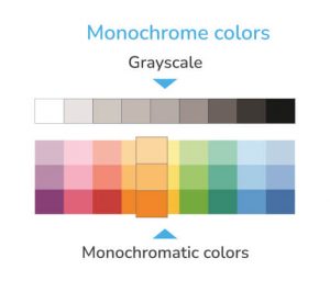 monochrome colors